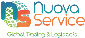 NS_Logo